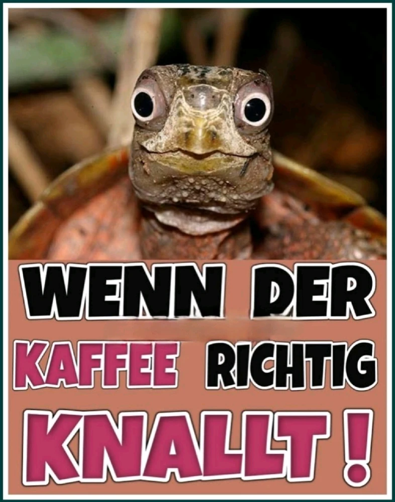 GIF hochgeladen von Sven