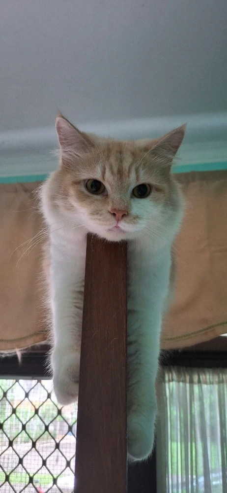 GIF uploaded by Albert