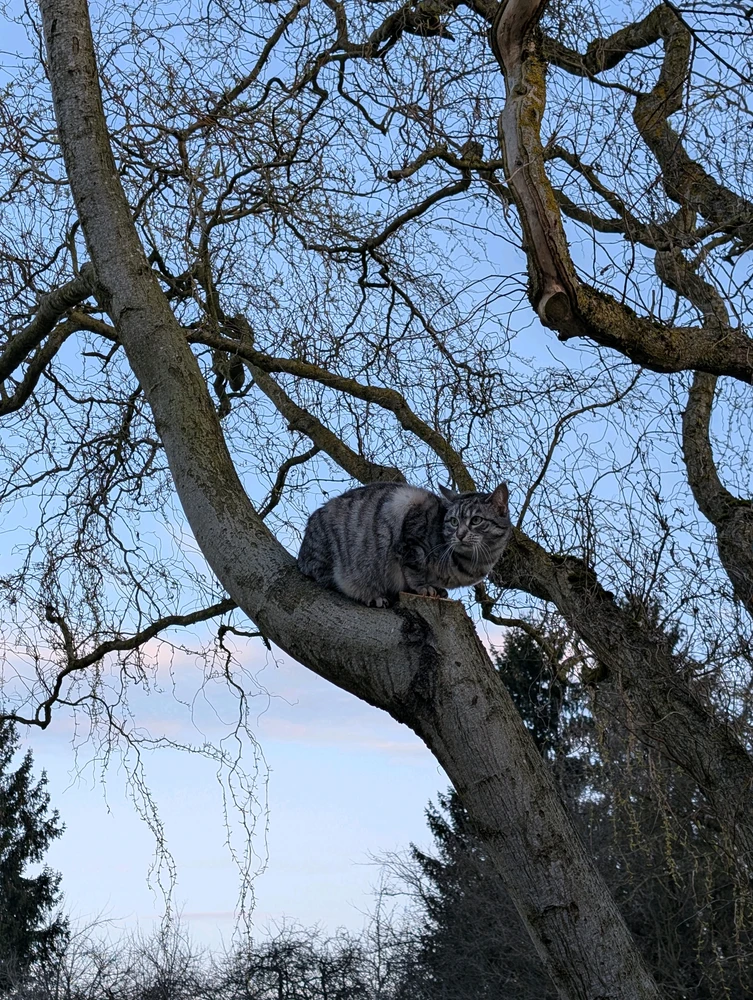 GIF hochgeladen von Lukas