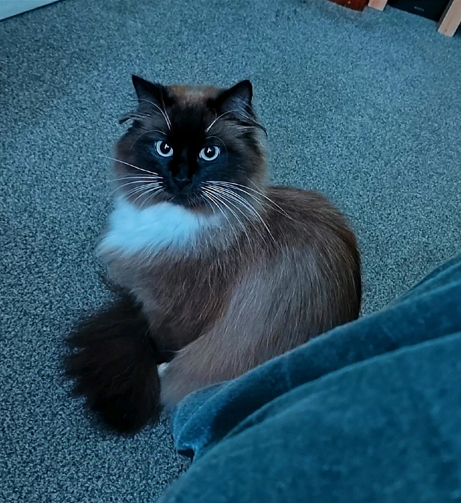 GIF uploaded by Andy