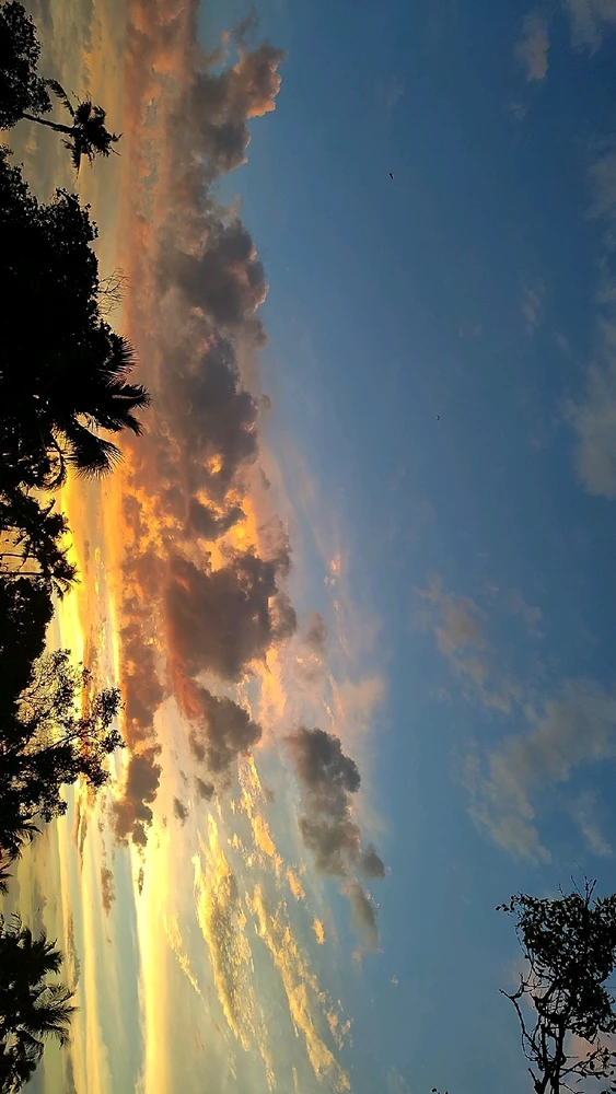 GIF uploaded by Savin