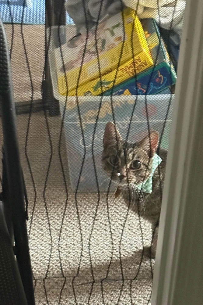 GIF uploaded by J is for Jaxy