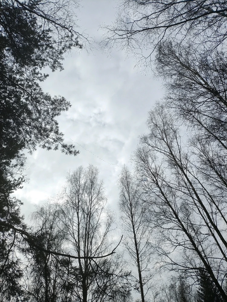 GIF загрузил Лана