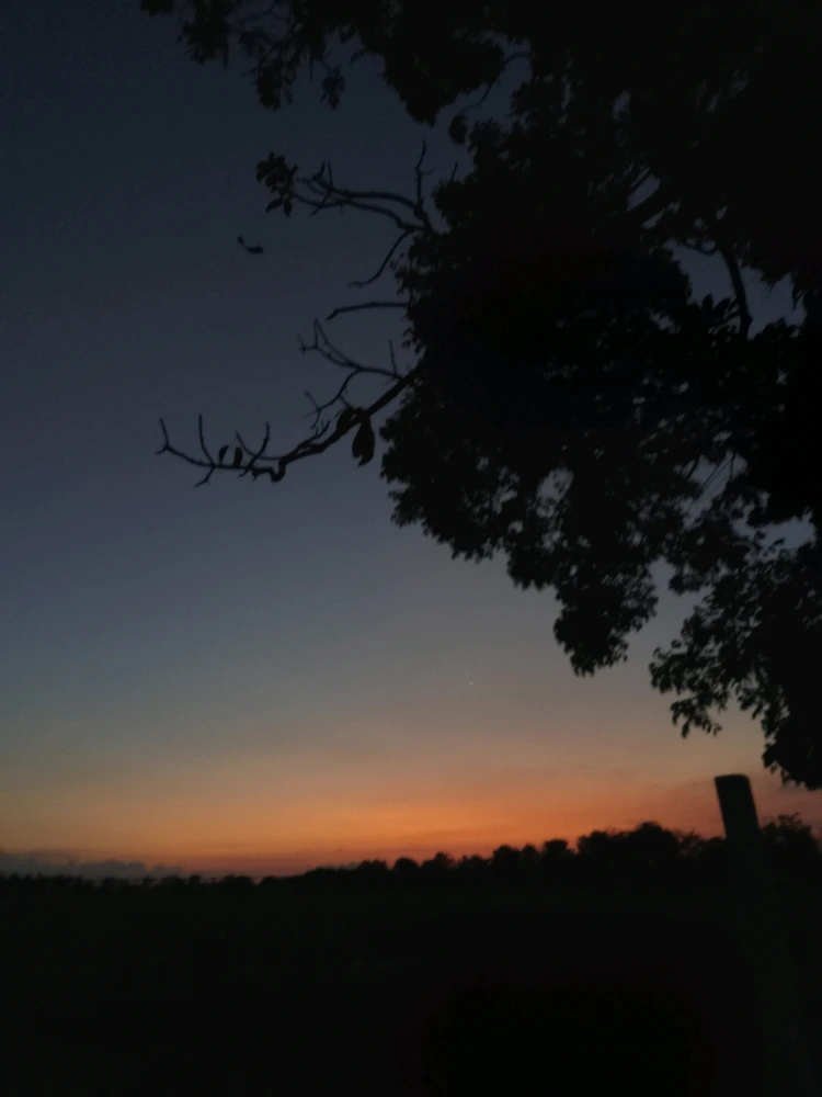 Image uploaded by Dawn