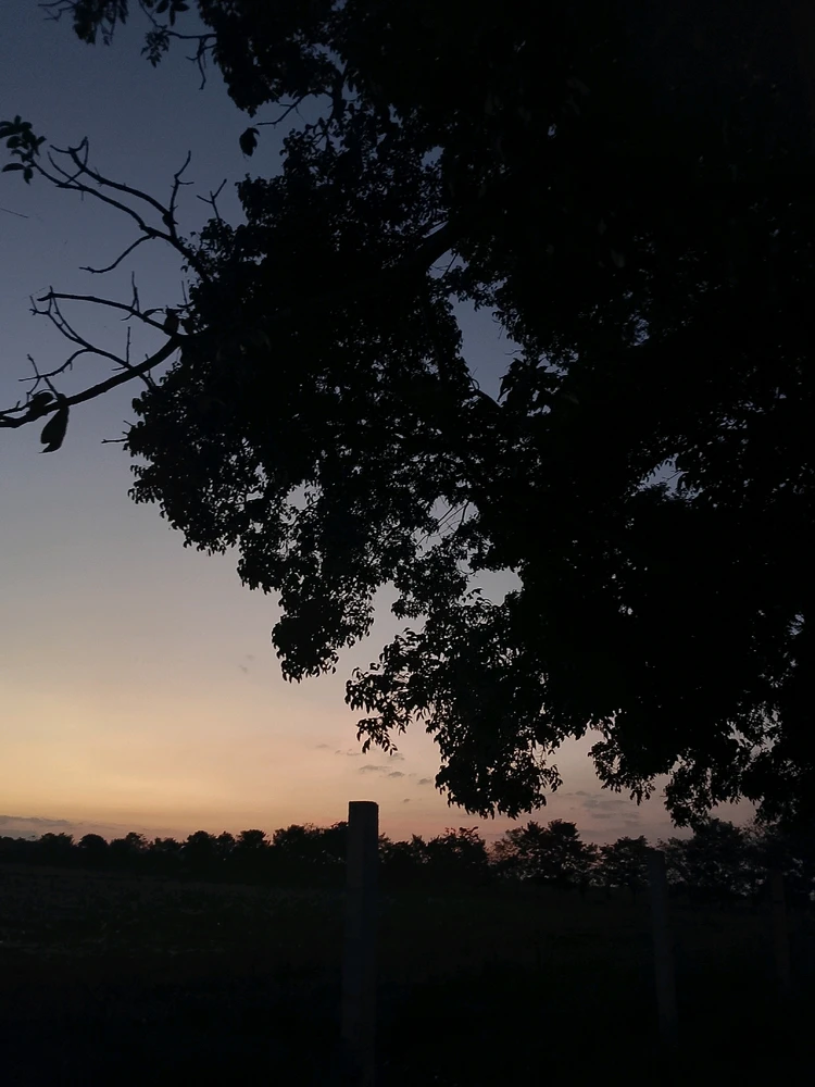 Image uploaded by Dawn