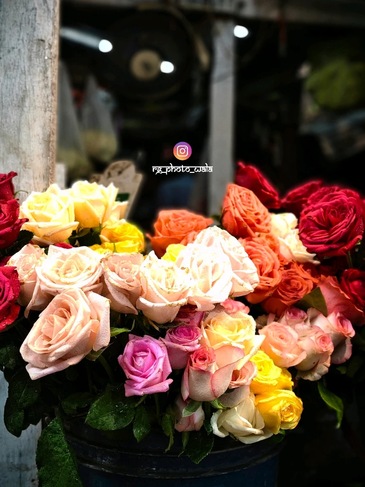 Image uploaded by Rohit G