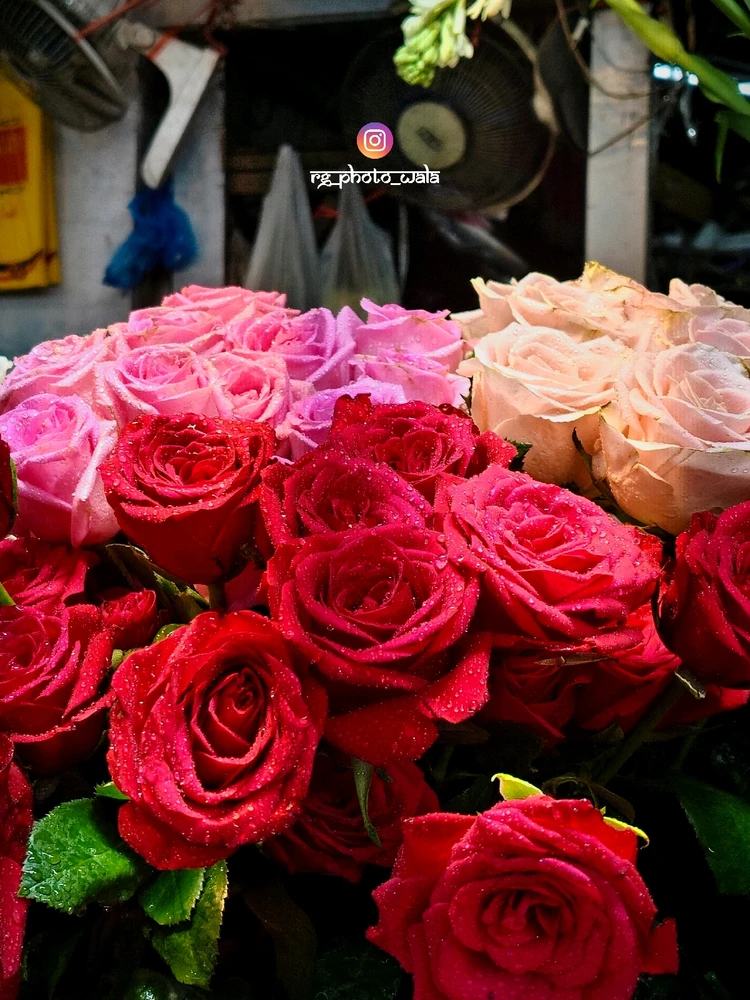 Image uploaded by Rohit G