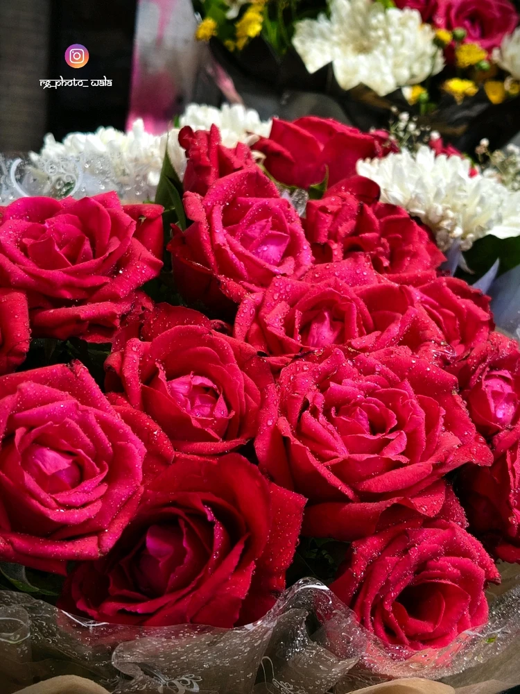 Image uploaded by Rohit G