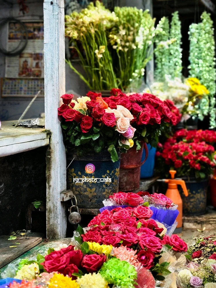 Image uploaded by Rohit G