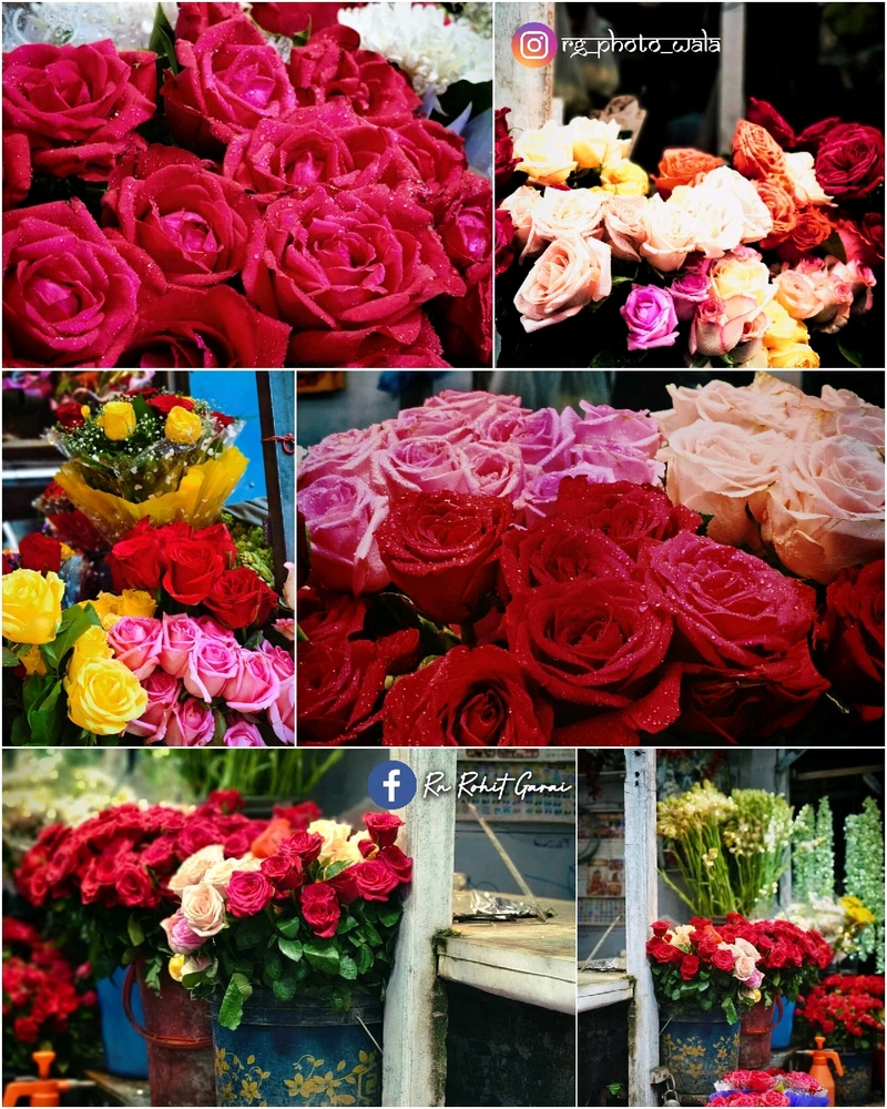 Image uploaded by Rohit G