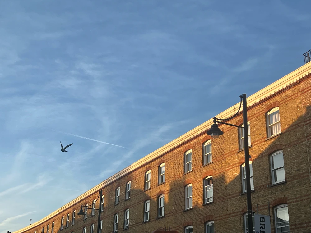 GIF enviado por Thais