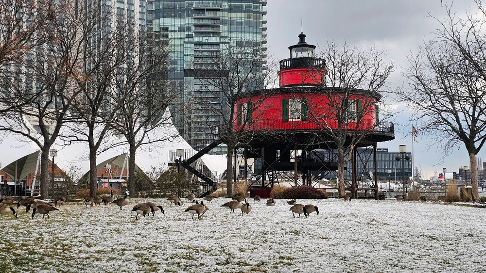 GIF uploaded by Jordi