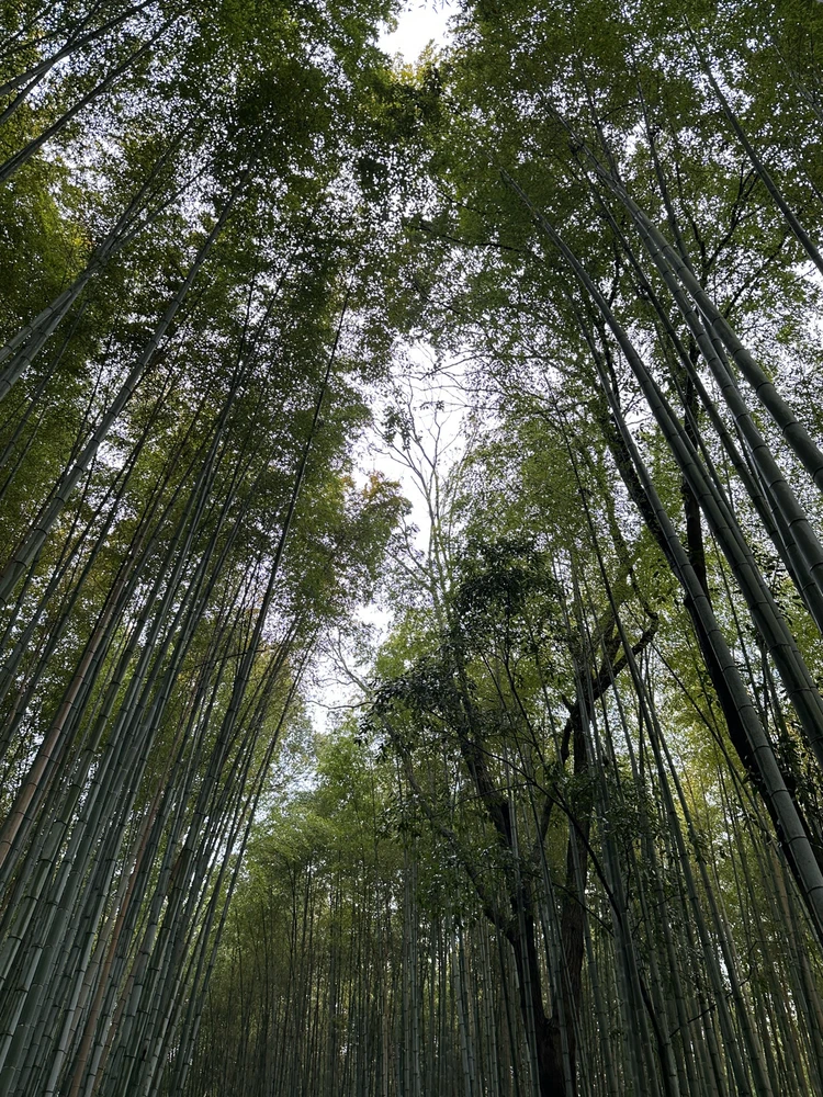 GIF uploaded by Dave