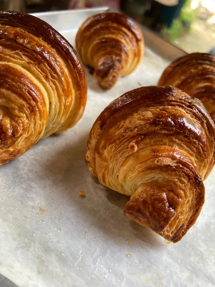 Image uploaded by Vina