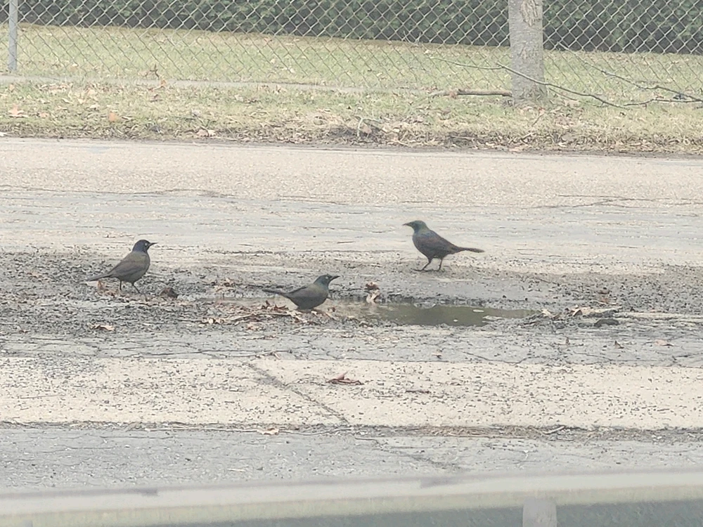 Image uploaded by Fran