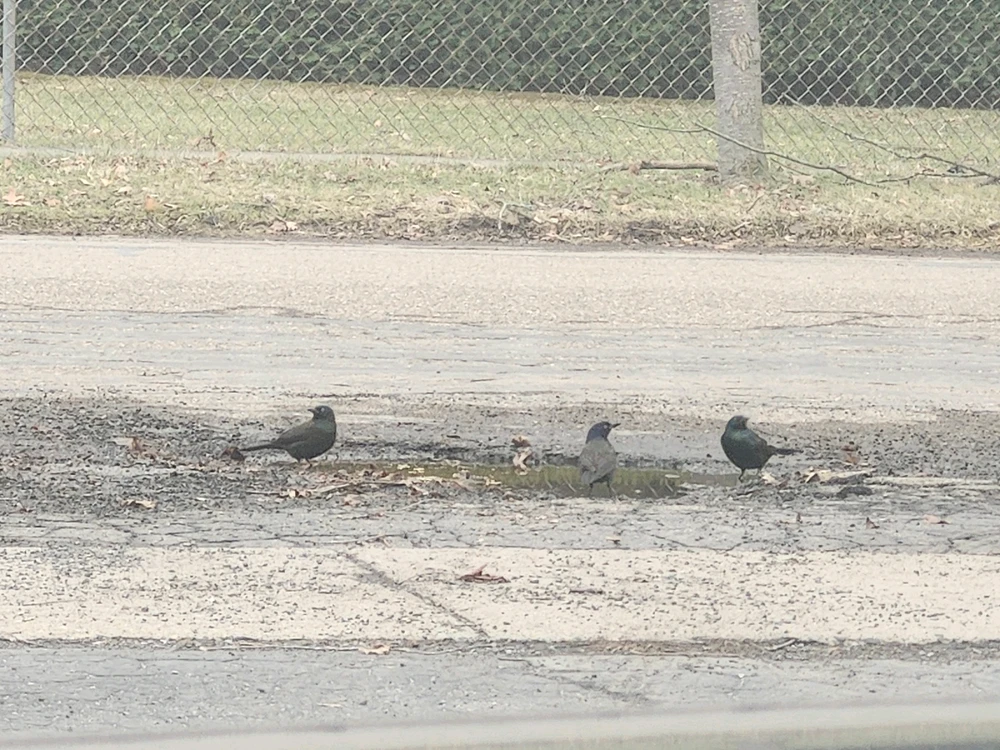 Image uploaded by Fran