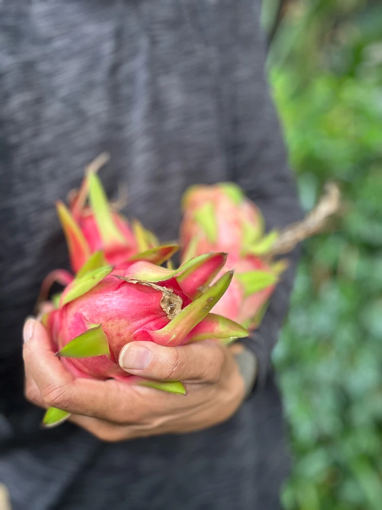 Image uploaded by Stone