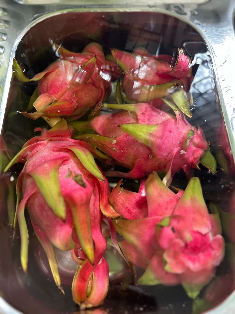 Image uploaded by Stone