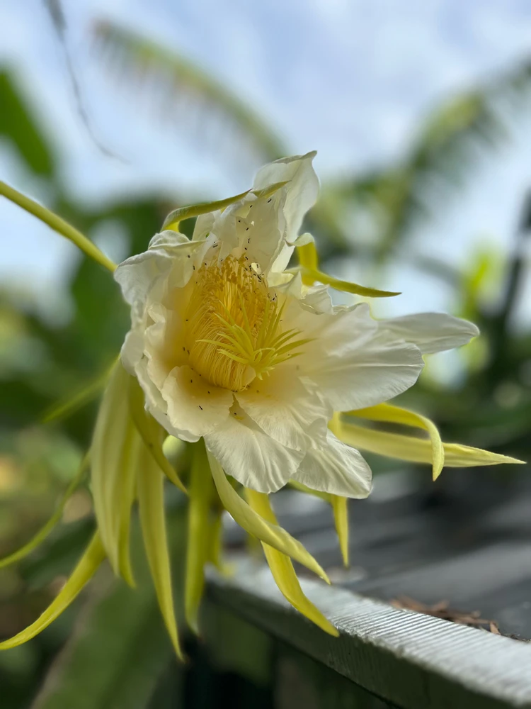 Image uploaded by Stone