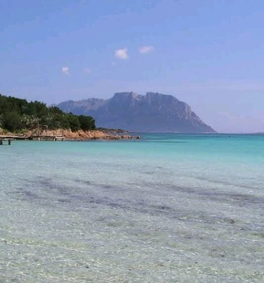 GIF uploaded by Barbara