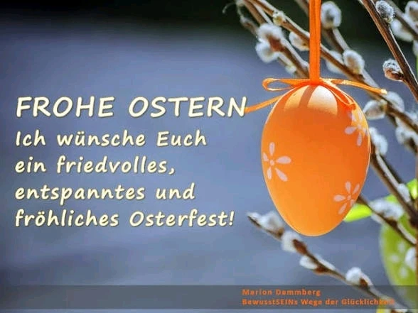 Bild hochgeladen von Timo