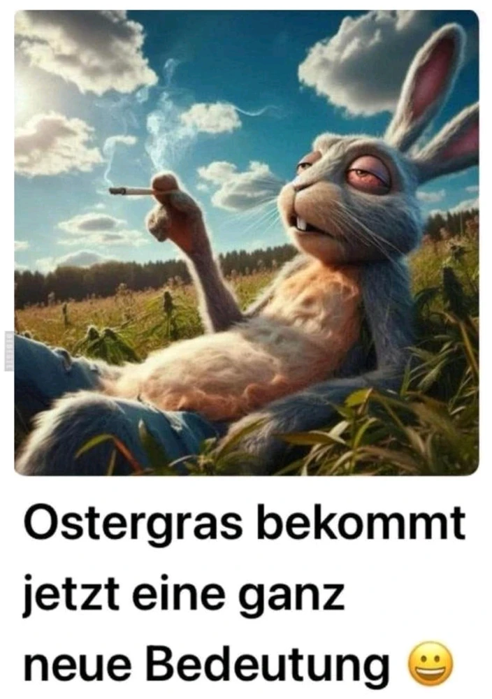 Bild hochgeladen von Timo