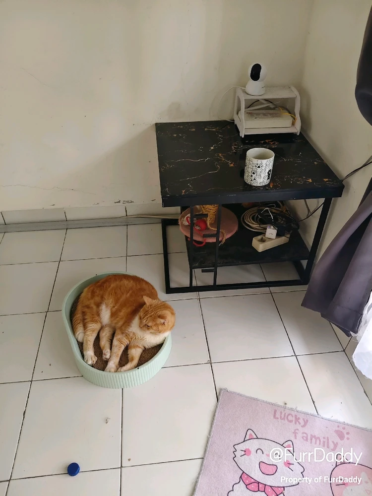 GIF uploaded by asu dahlah