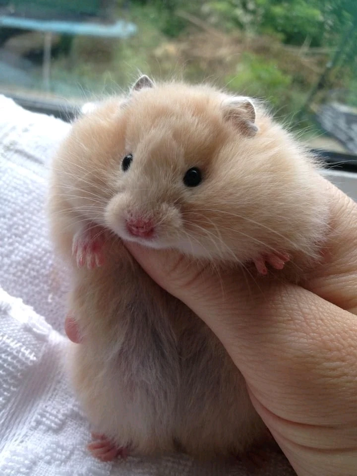 GIF uploaded by Sandz
