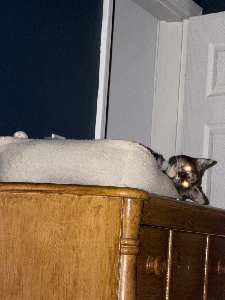 GIF uploaded by Thomas