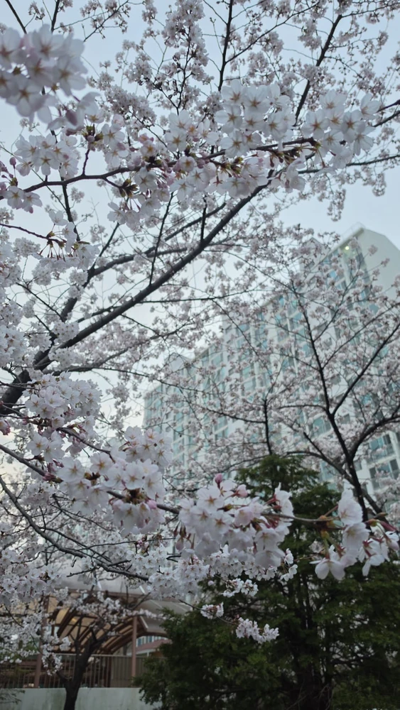 GIF uploaded by cy