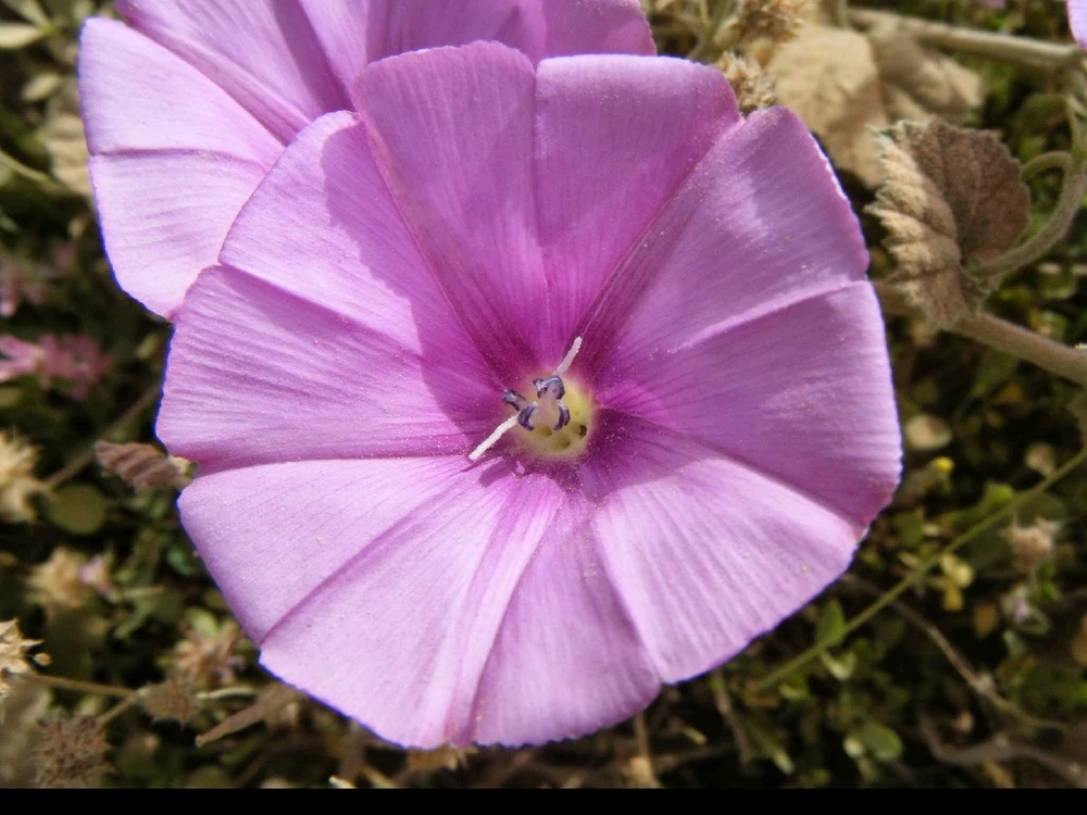 GIF uploaded by Anthony