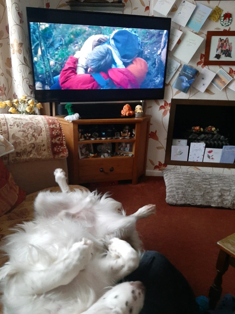 Image uploaded by Tommy