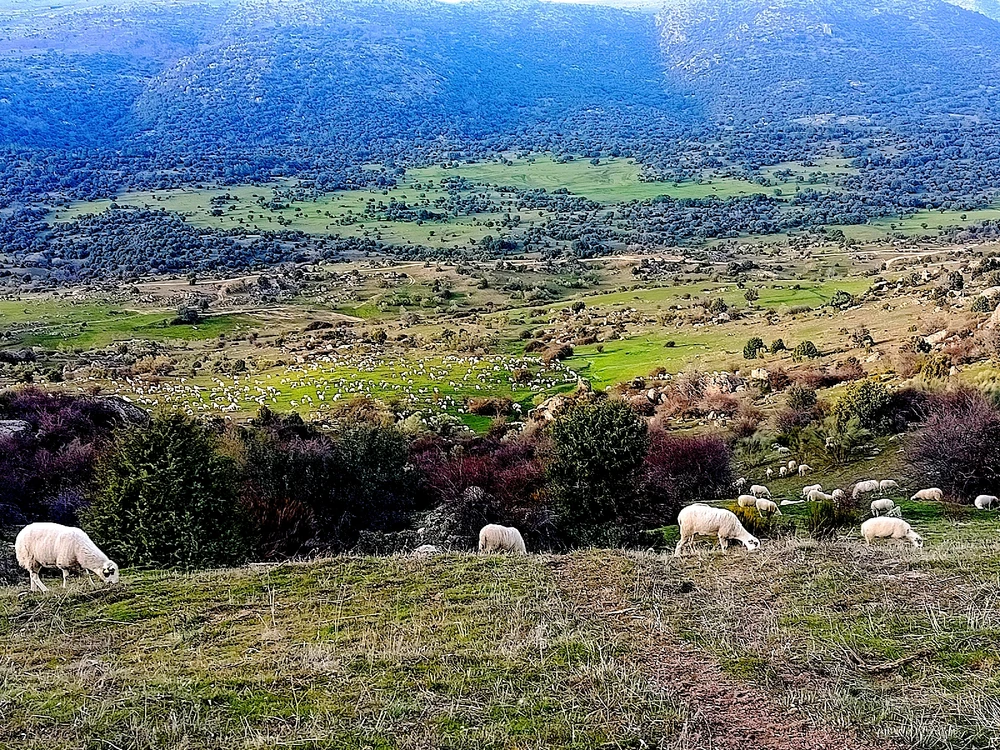 GIF subido por Enrique