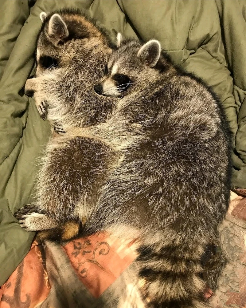 GIF uploaded by Aquarius®