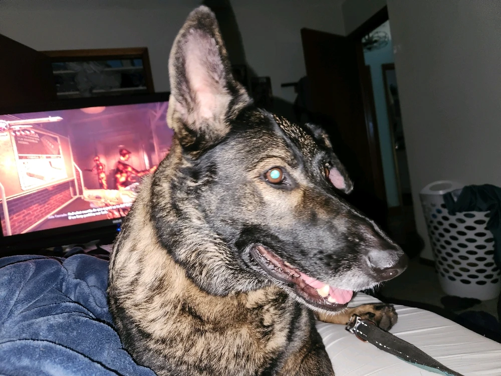 GIF uploaded by Jesse Tyler Brown