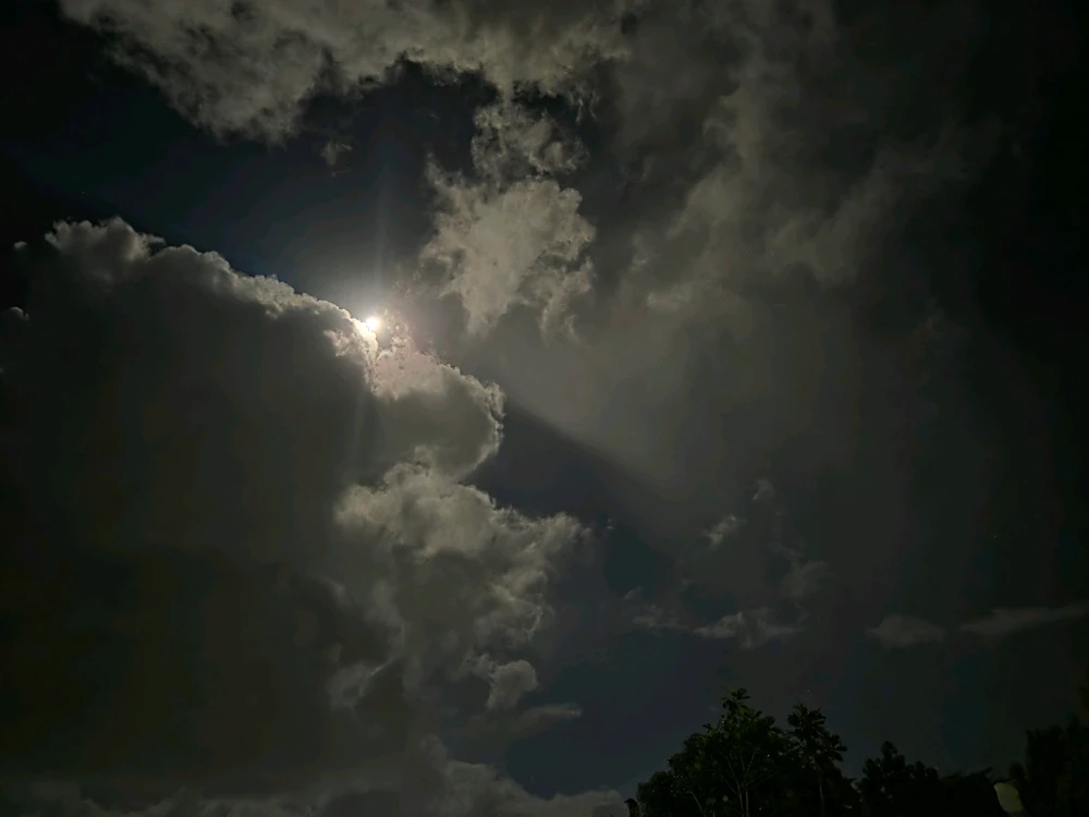 Image uploaded by Gaby