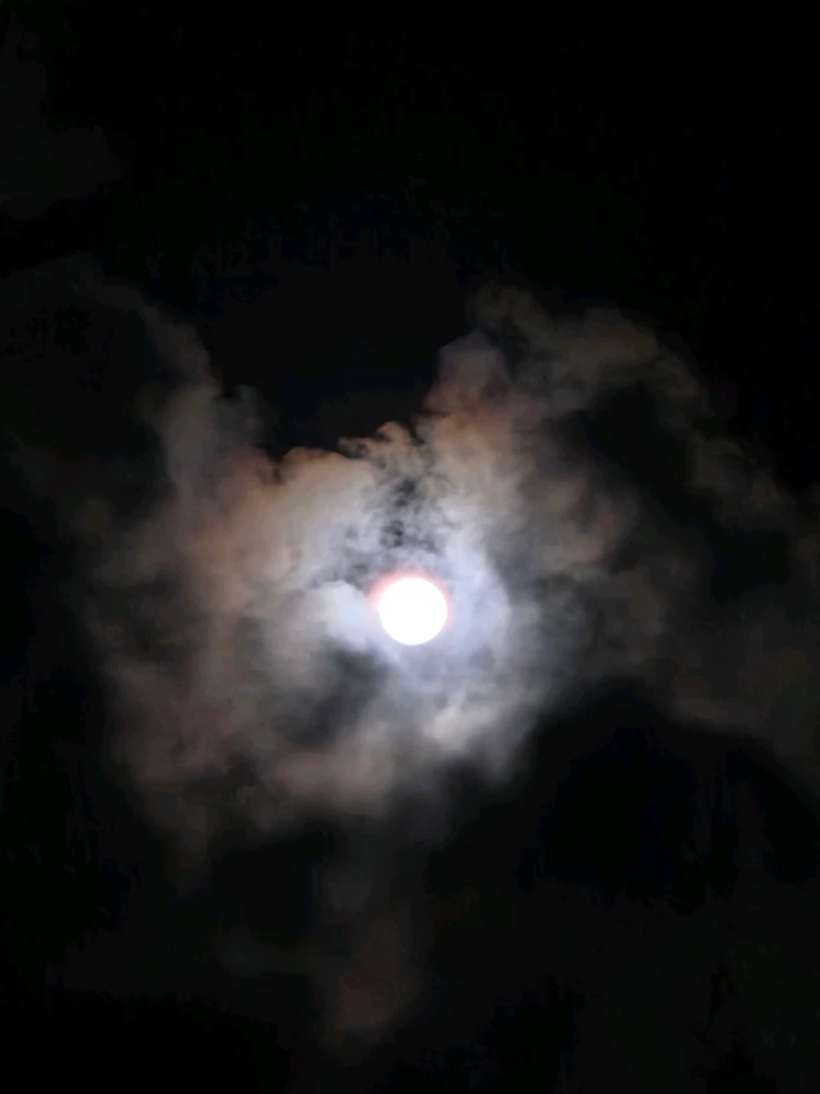 Image uploaded by Gaby