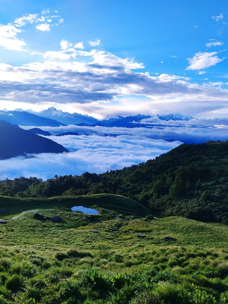 Image uploaded by Bimit