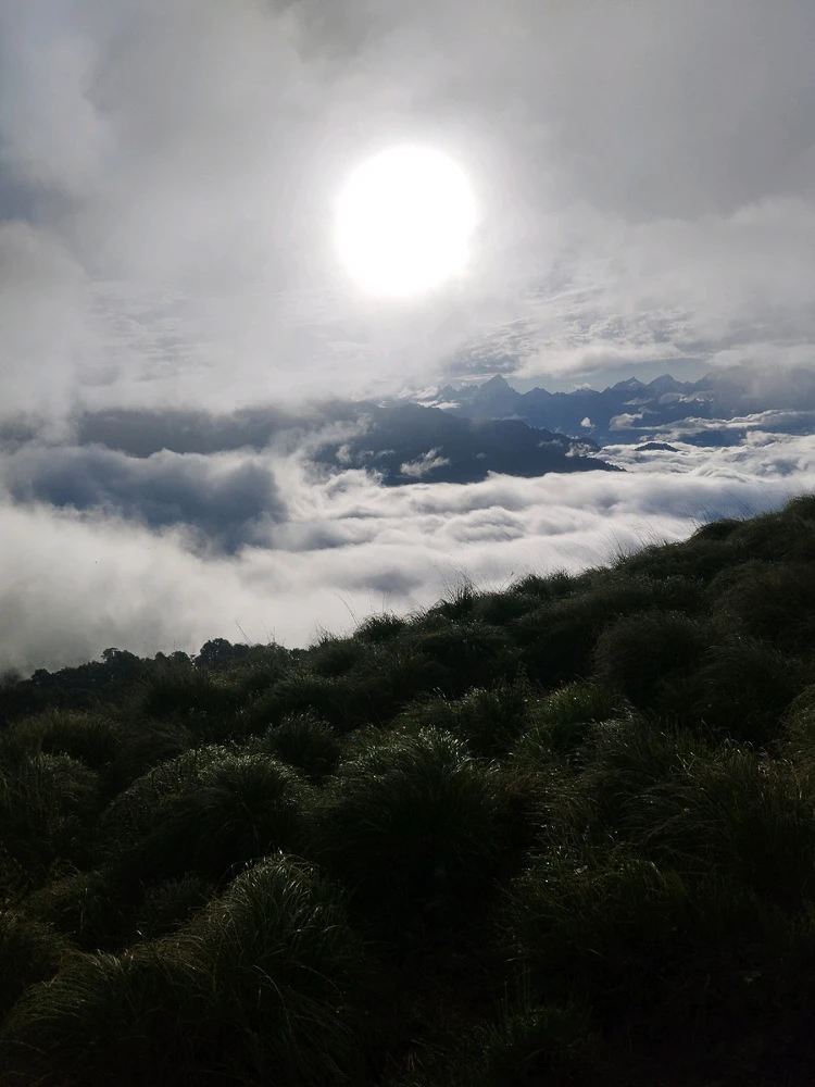 Image uploaded by Bimit