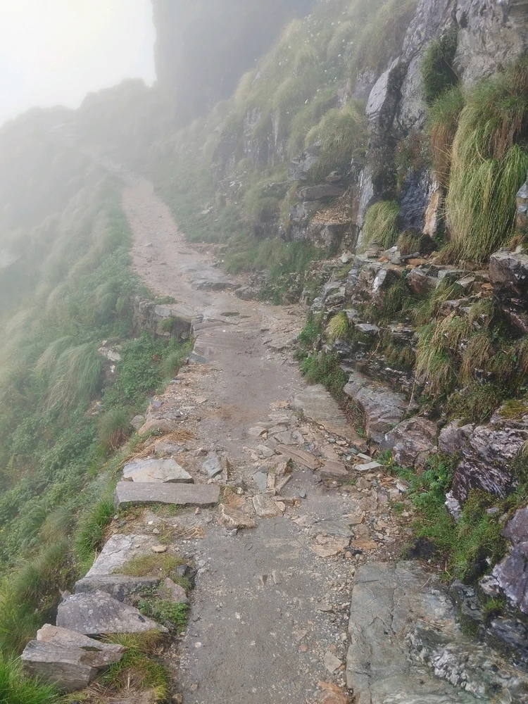 Image uploaded by Bimit