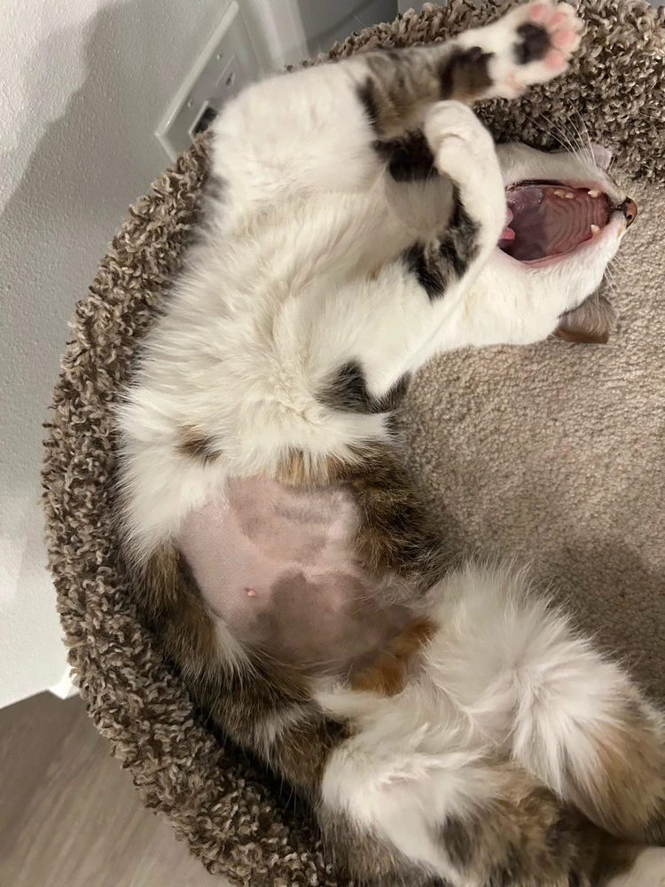 GIF uploaded by Kenzie