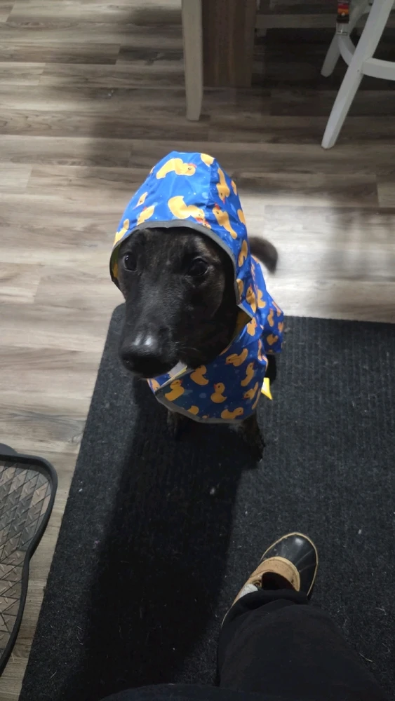 GIF uploaded by Kelynn