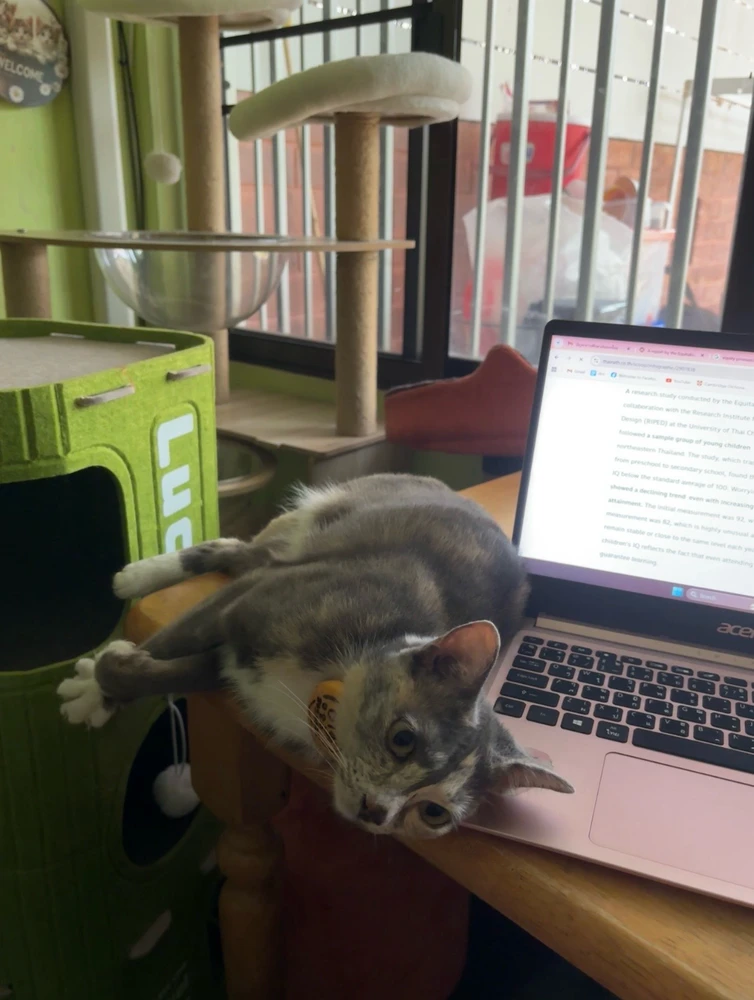 GIF uploaded by Pat♡