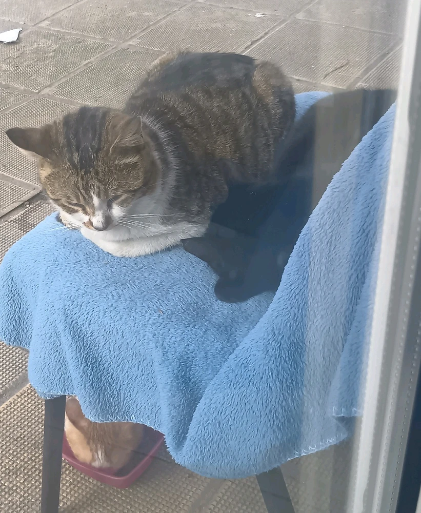 Elizabeth님이 올린 GIF