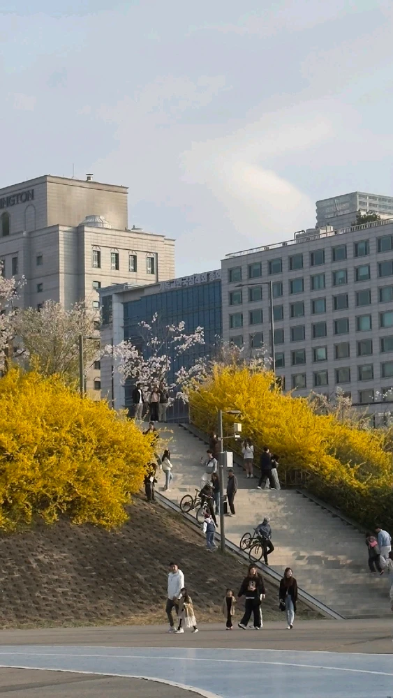 Image uploaded by Kunu