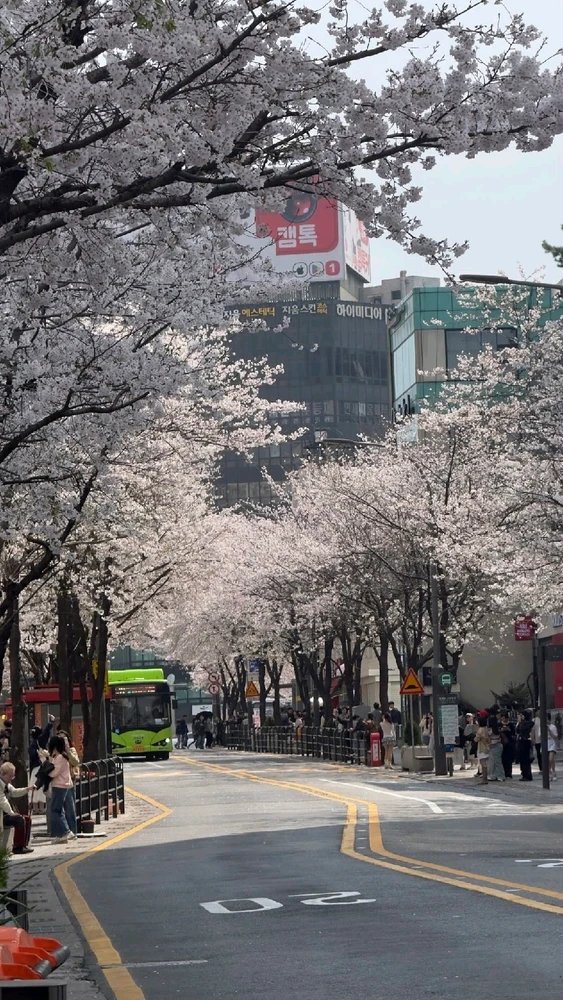 Image uploaded by Kunu