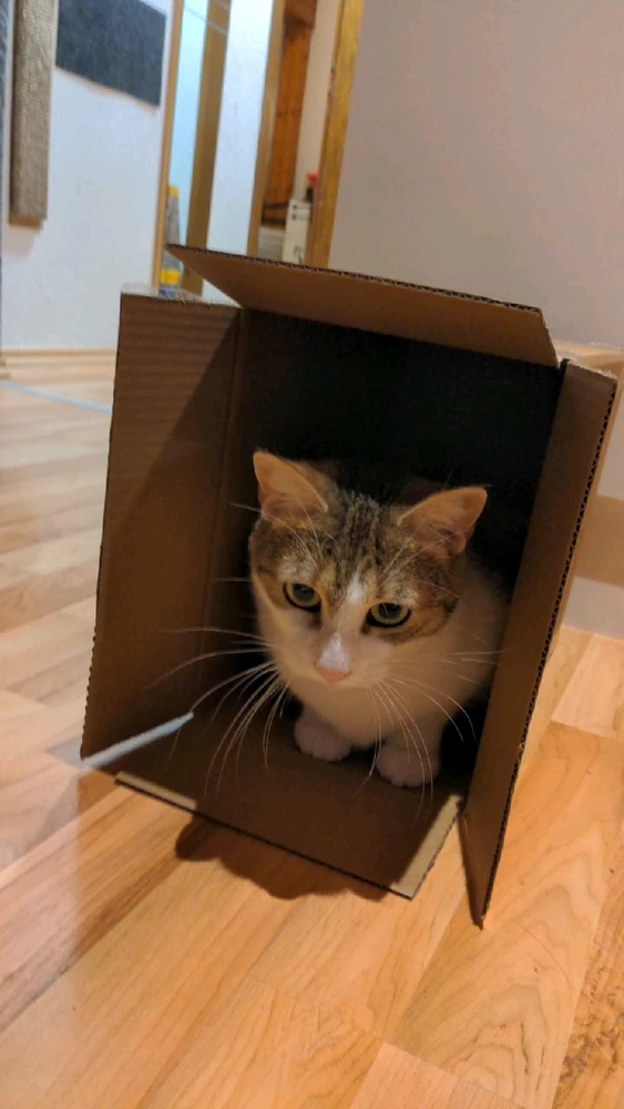 GIF hochgeladen von Zuzanna