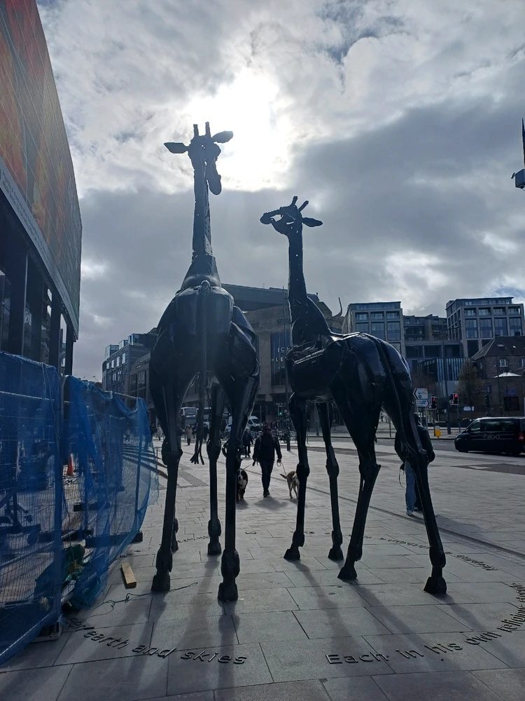 🦒 