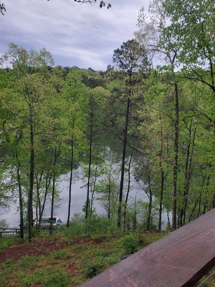 GIF uploaded by Nate