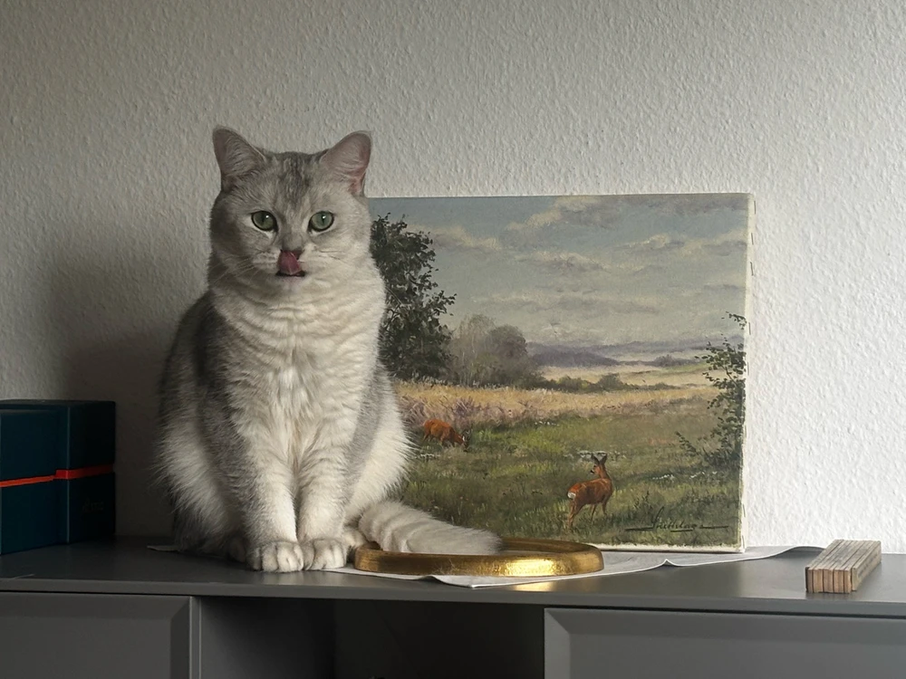 GIF hochgeladen von Dingwei